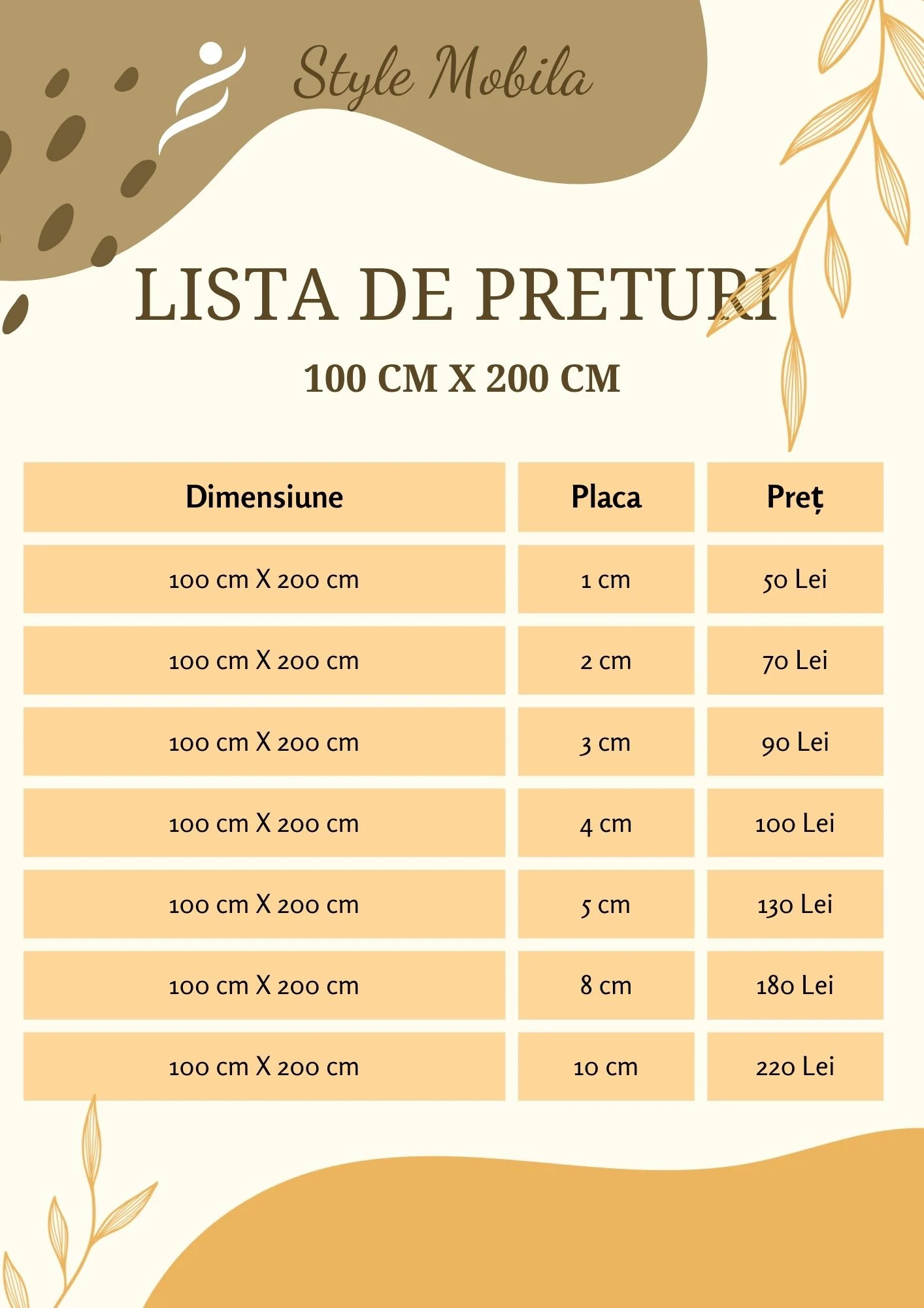 Burete 100 × 200 cm